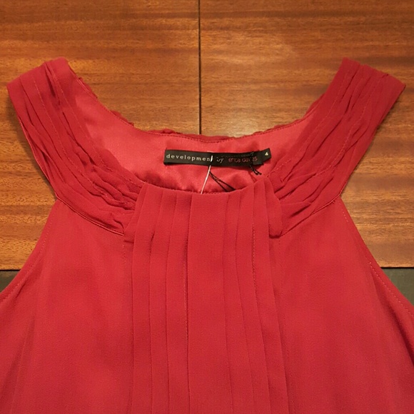 Development Red Silk Dress - Picture 2 of 4